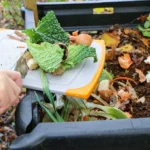 “การทำปุ๋ยหมัก” (Composting) ทางเลือกเพื่อสุขภาพที่ยั่งยืน ช่วยทั้งโลกและสุขภาพจิต